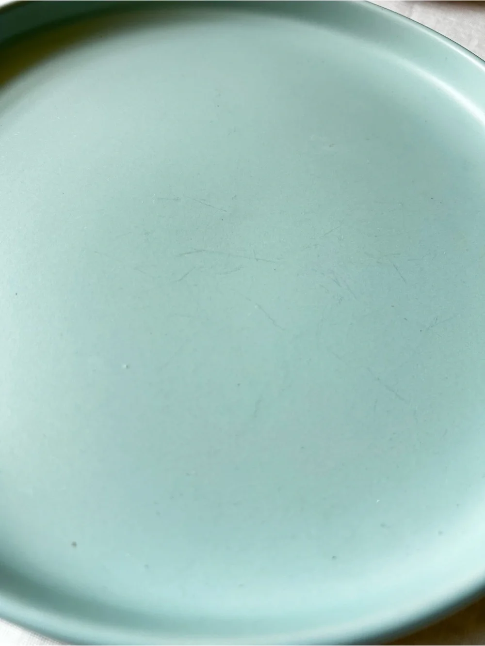 🌴Colorful Turquoise Semi-Matte Dinnerware Set of Two Plates
